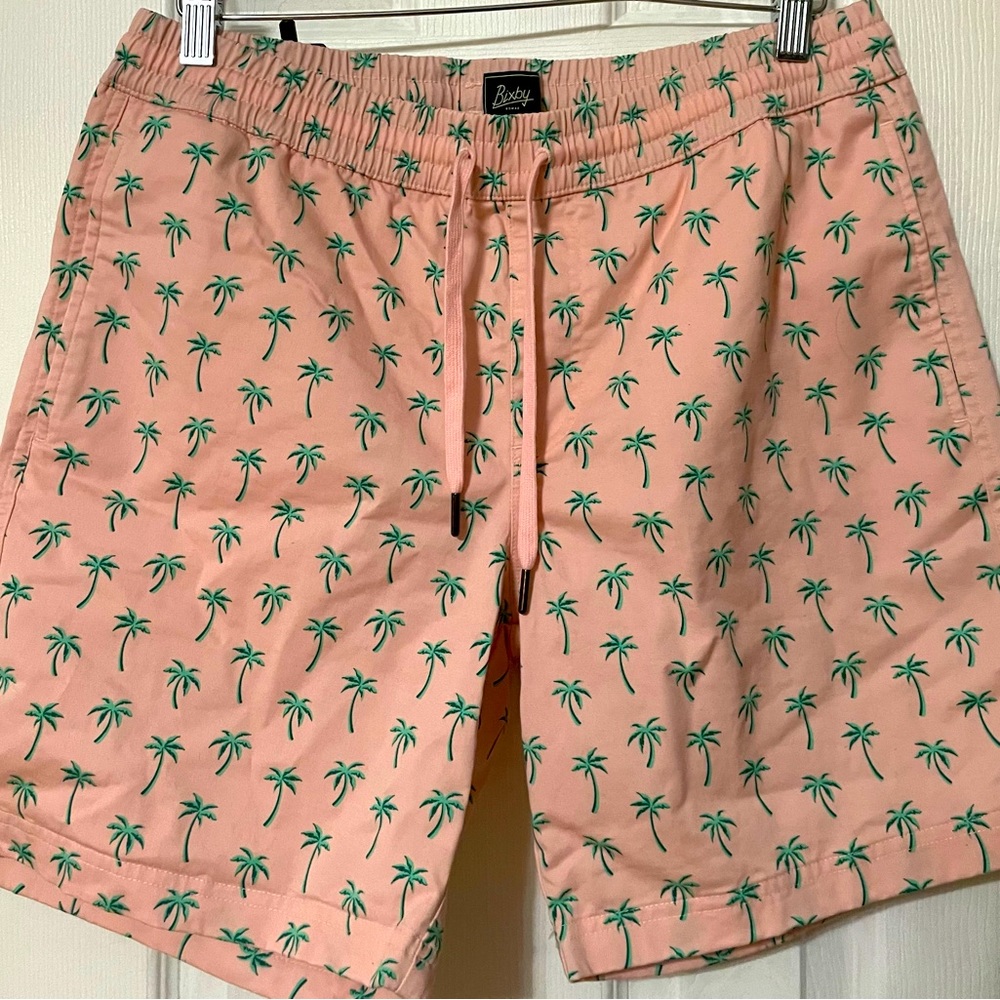 Men’s Bixby Nomad Shorts- Pink w/ Palm trees, Size 32